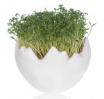 Jajko ceramiczne Wielkanoc - Rzeżucha