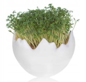 Jajko ceramiczne Wielkanoc - Rzeżucha